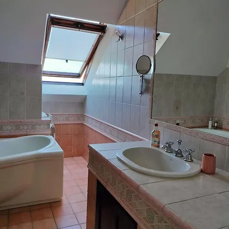 Apartment Mansarda Dasy *