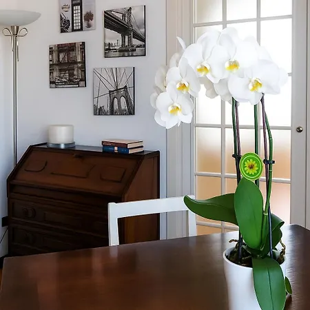 Apartamento Mansarda Dasy
