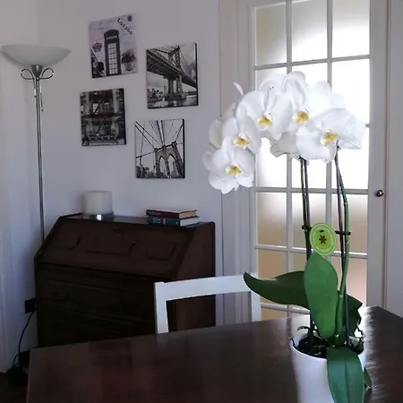 Apartment Mansarda Dasy Ancona