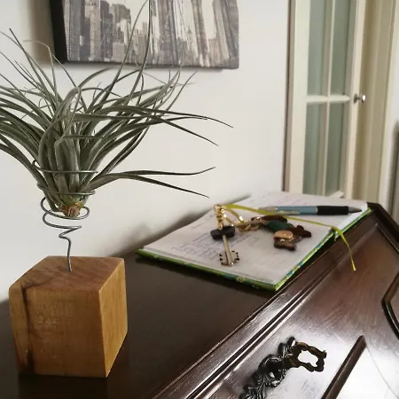 Apartment Mansarda Dasy